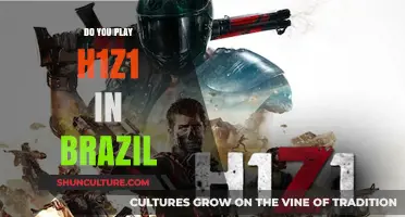 Exploring H1Z1's Popularity and Player Experience in Brazil