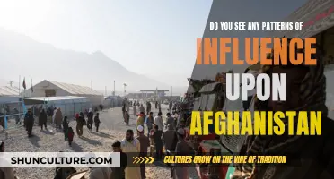 The Complex Web of Influence: Unraveling Afghanistan's Story