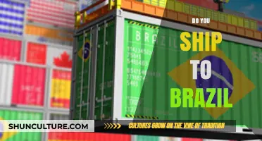 Shipping to Brazil: Your Ultimate Guide to Delivery Options