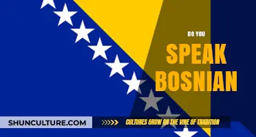 Do You Speak Bosnian? Exploring Language, Culture, and Connection in the Balkans