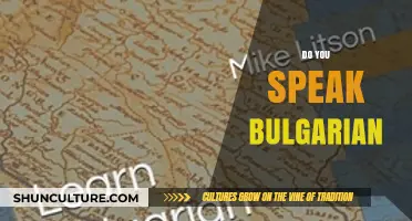 Unlocking the Mysteries of the Bulgarian Language: A Beginner's Guide