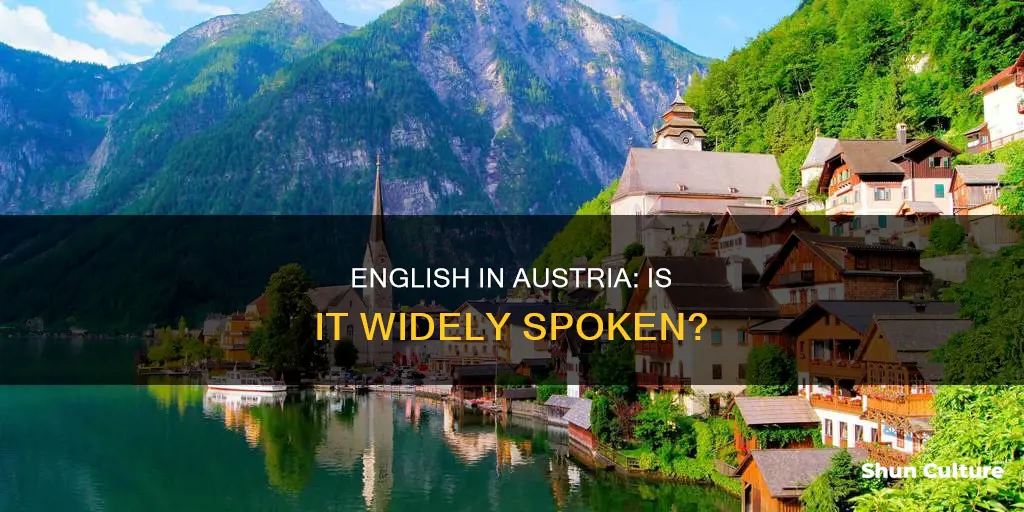 do you speak english in austria