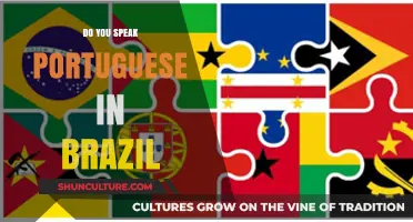 Do You Speak Portuguese in Brazil? Language Insights for Travelers