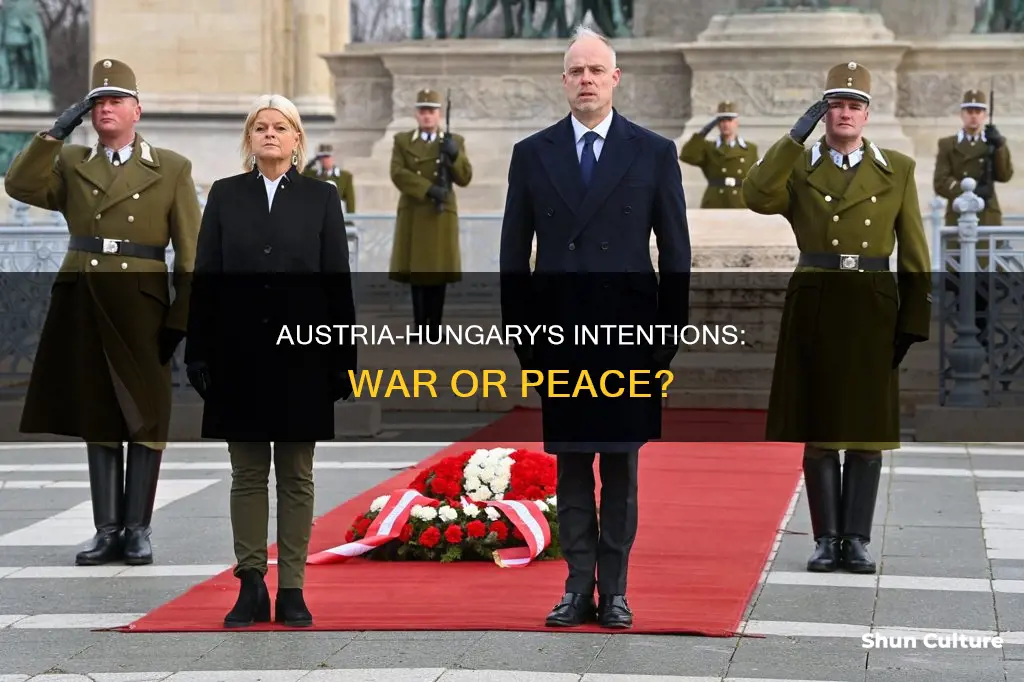 do you think austria-hungary wanted war or peace