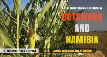 Exploring Agriculture: Is Farming Truly Plentiful in Botswana and Namibia?