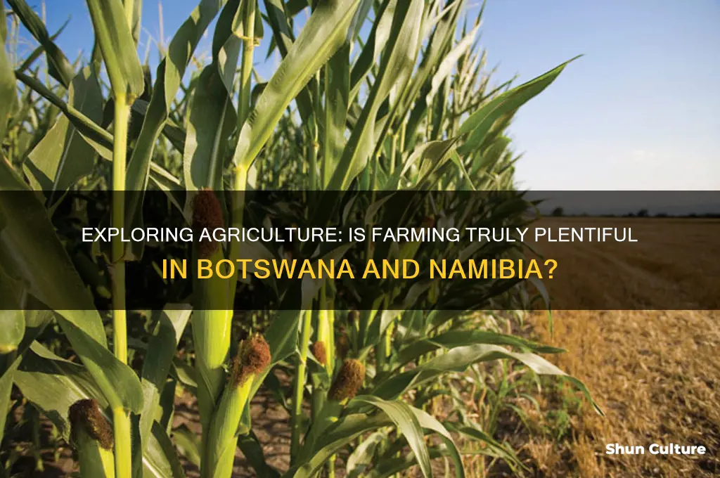 do you think farming is plentiful in botswana and namibia