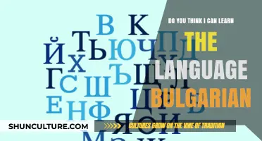 Unlocking Bulgarian: A Beginner's Journey to Fluency
