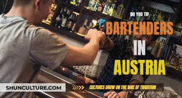 Tipping Bartenders in Austria: What's the Norm?