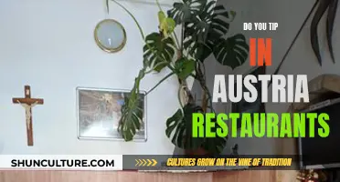 Tipping in Austrian Restaurants: What's the Norm?