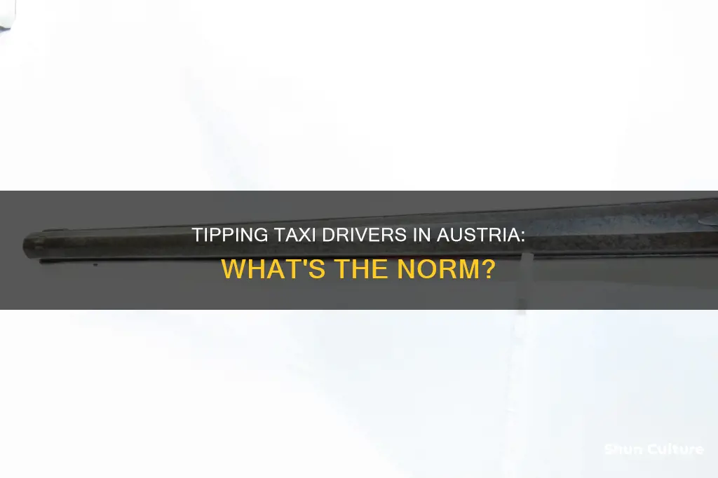 do you tip in austria taxi