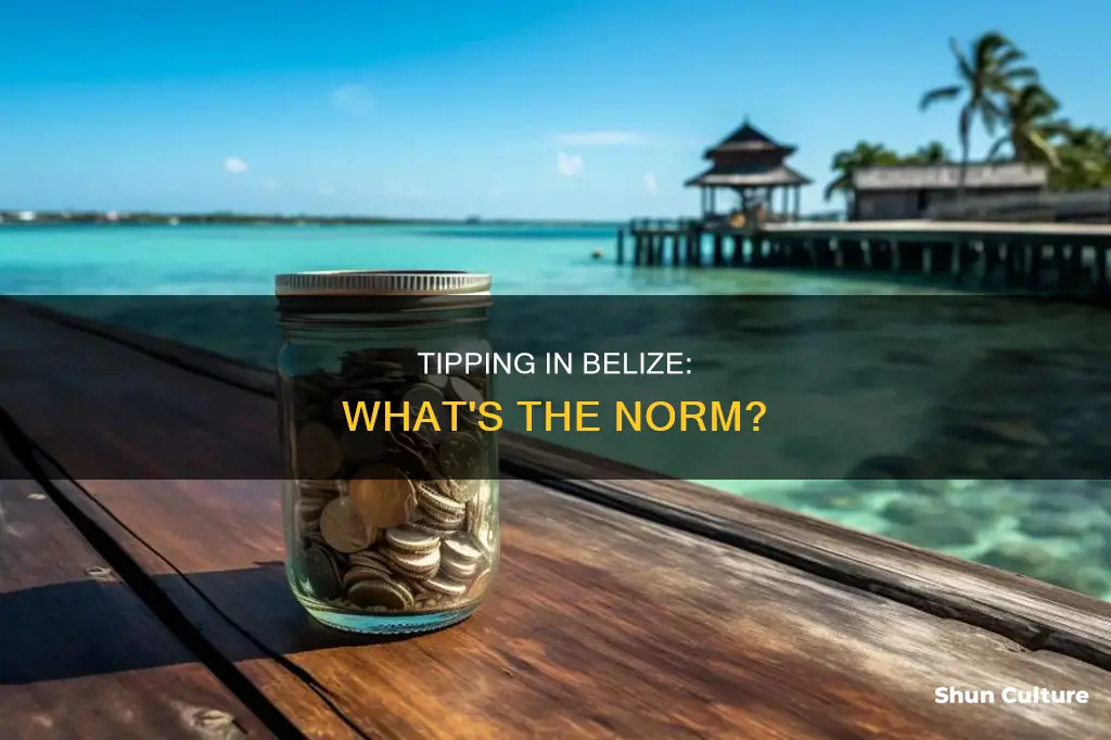 do you tip in belize