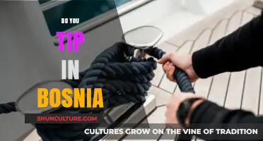 Tipping in Bosnia: Cultural Norms and Etiquette for Travelers