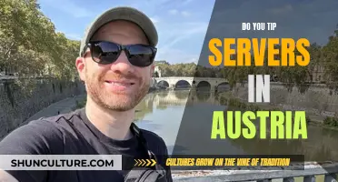 Tipping in Austria: Is It Expected to Tip Servers?