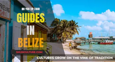 Tipping Tour Guides in Belize: What's the Norm?