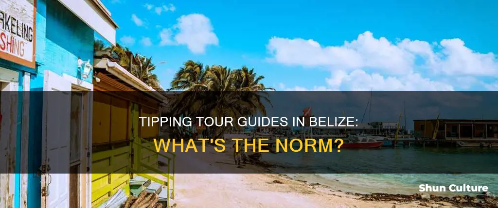 do you tip tour guides in belize