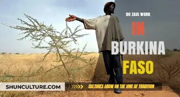 Exploring the Effectiveness of Zais in Burkina Faso's Agricultural Sector