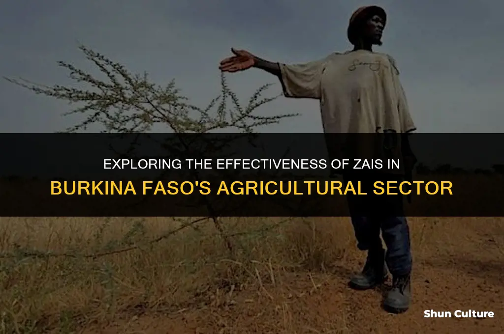 do zais work in burkina faso