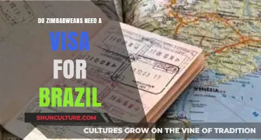 Zimbabweans Traveling to Brazil: Visa Requirements Explained