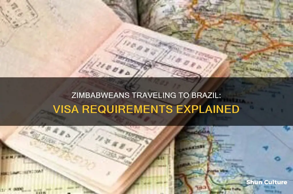 do zimbabweans need a visa for brazil
