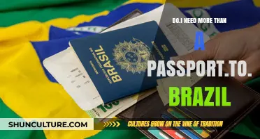 Traveling to Brazil: Passport and Beyond – What You Need