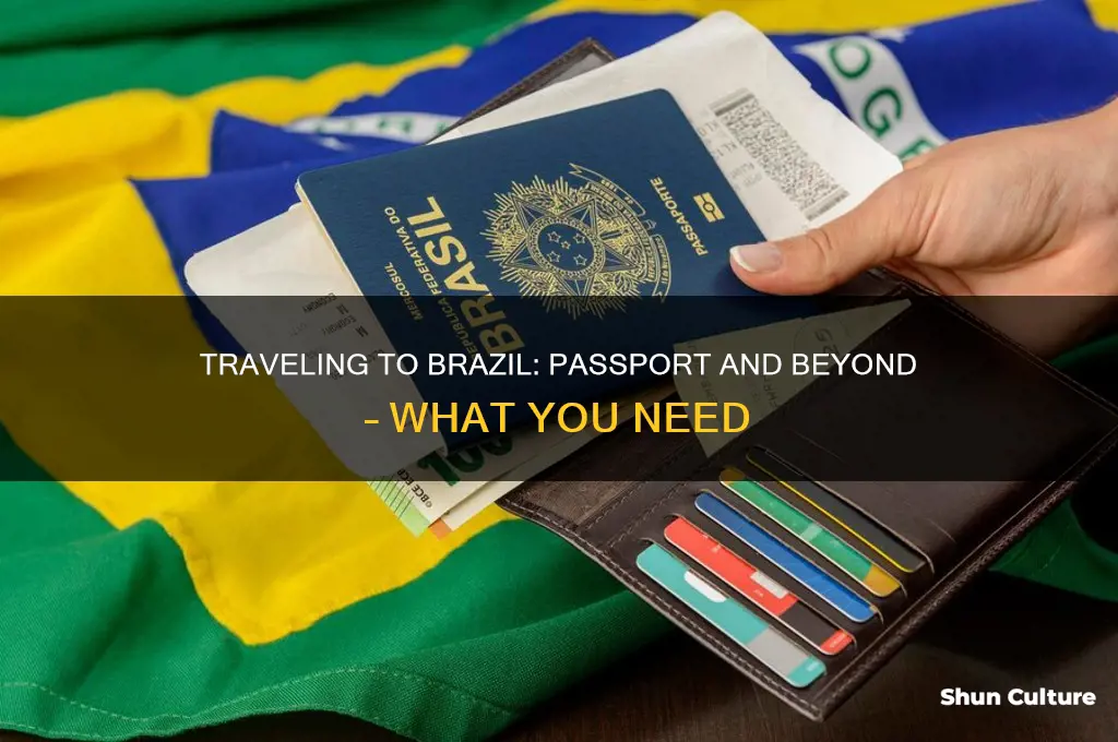 do.i need more than a passport.to.go.to brazil