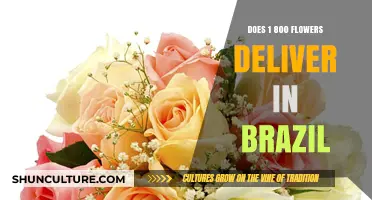Does 1-800-Flowers Offer Delivery Services in Brazil?