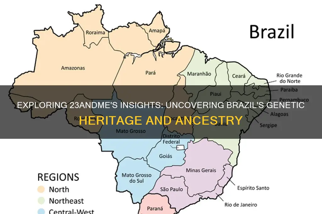 does 23 and me have more info on brazil