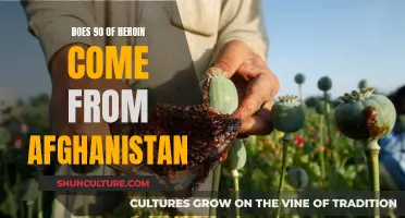 Heroin's Afghan Origins: Examining the Country's Role in the Global Drug Trade