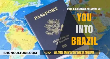 Can US Citizens Enter Brazil with an American Passport?