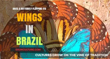 Butterfly Wings in Brazil: Unraveling the Chaos Theory's Global Impact