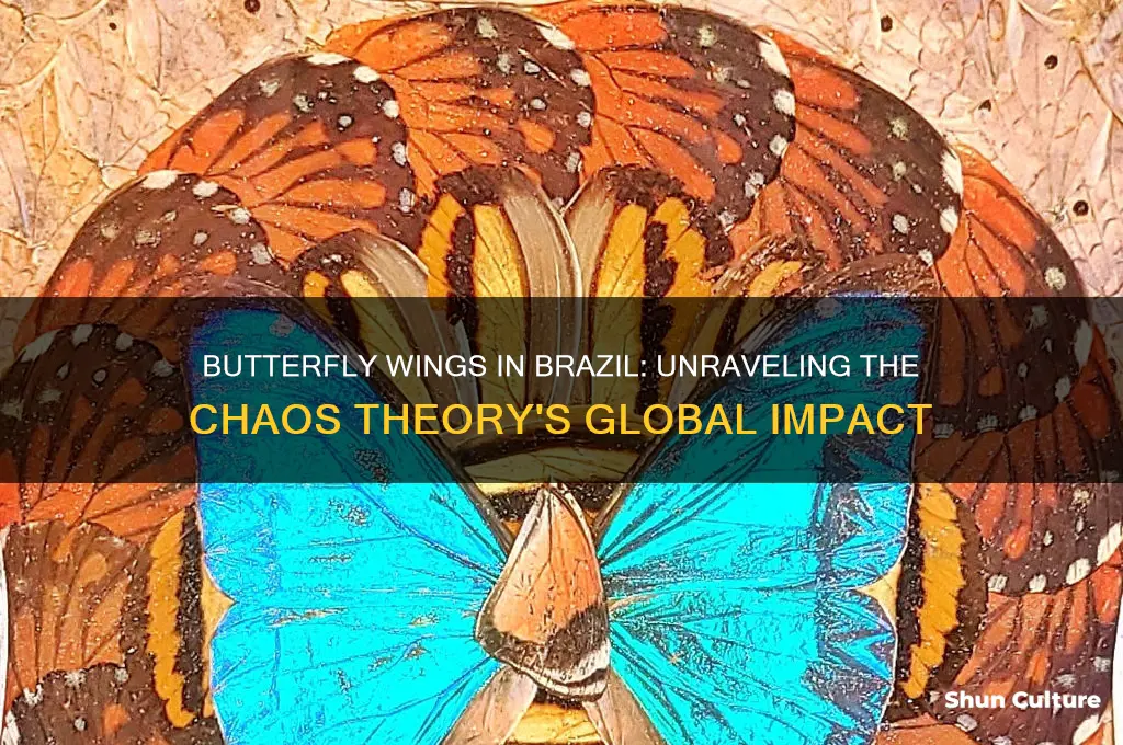 does a butterfly flapping its wings in brazil