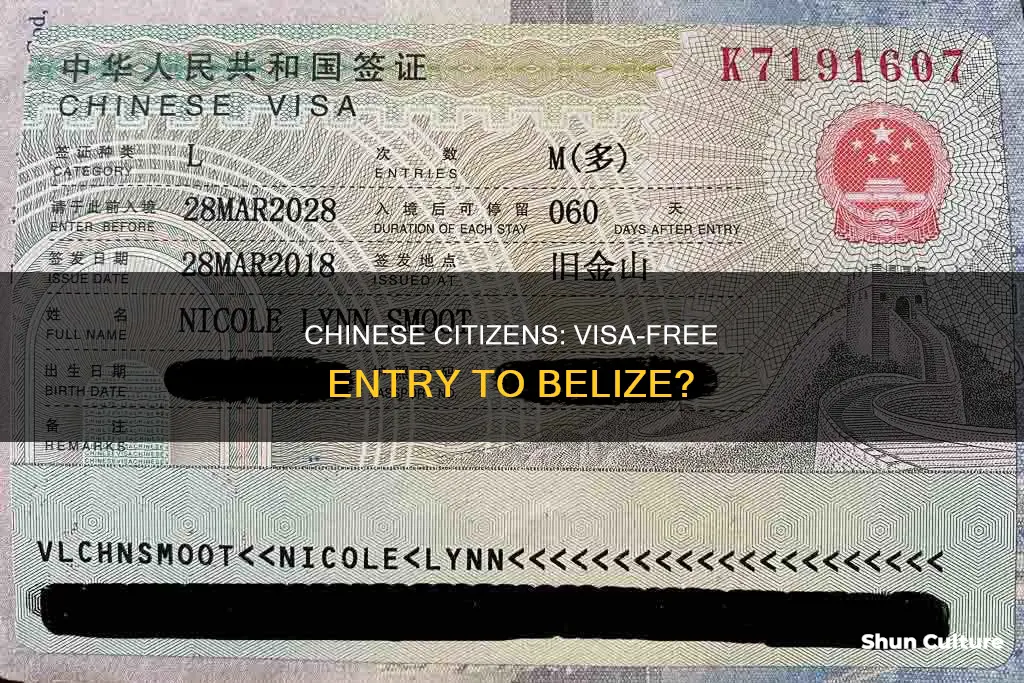 does a chinese citizen need a visa for belize