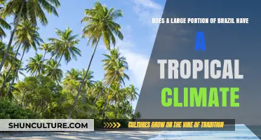 Exploring Brazil's Climate: How Much is Truly Tropical?