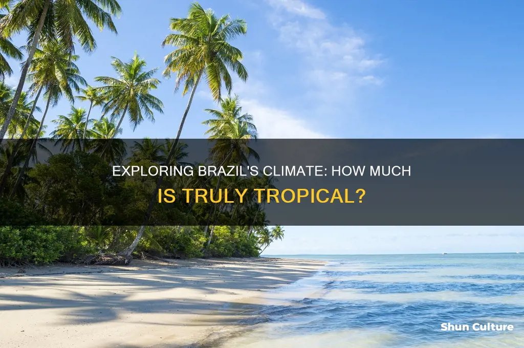 does a large portion of brazil have a tropical climate