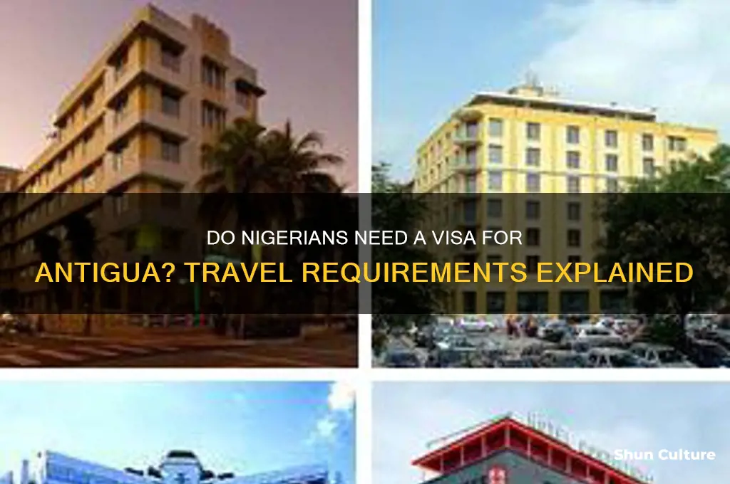 does a nigerian need a visa to travel to antigua