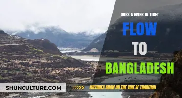 Tibet's River Journey: Does It Reach Bangladesh's Shores?