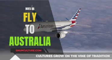 AA's International Reach: Flying to Australia?