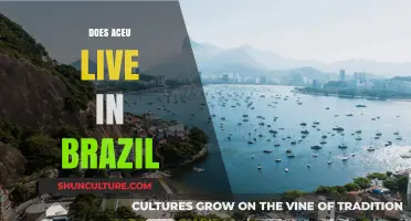Does Aceu Live in Brazil? Unraveling the Streamer's Residency Mystery
