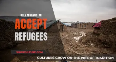 The Uncertain Door: Afghanistan's Complex Relationship with Refugees