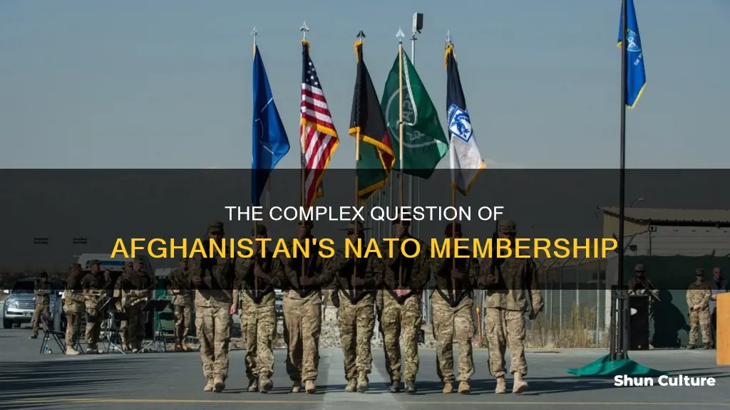 does afghanistan belong to nato