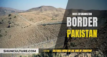 The Complex Afghanistan-Pakistan Border: A Geopolitical Challenge