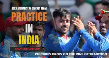 The Unlikely Training Ground: Afghanistan Cricket Team's Indian Sojourn