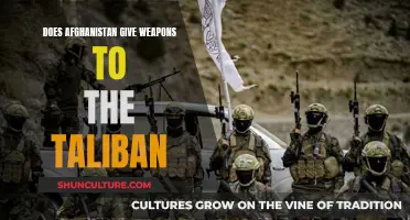 The Complex Web of Arms: Unraveling Afghanistan's Taliban Connection