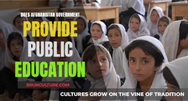 The Promise of Public Education in Afghanistan: A Government Initiative