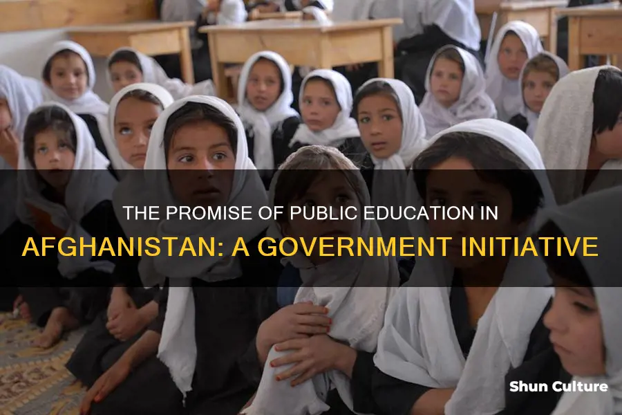 does afghanistan government provide public education