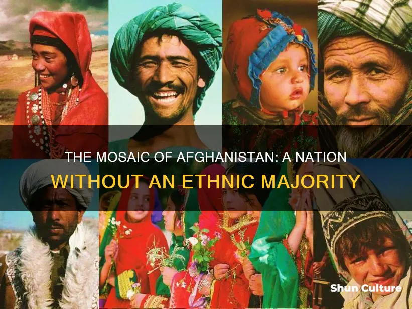 does afghanistan has no ethnic majority