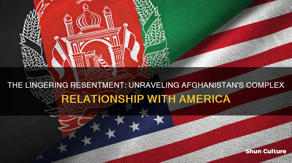 does afghanistan hate america