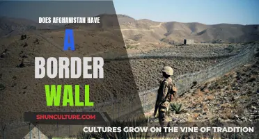 The Great Divide: Afghanistan's Border Wall and its Impact