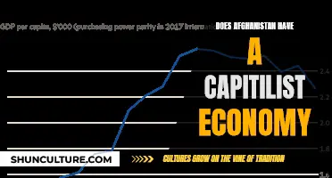 The Complexities of Afghanistan's Economic Identity: Navigating Capitalism and Tradition