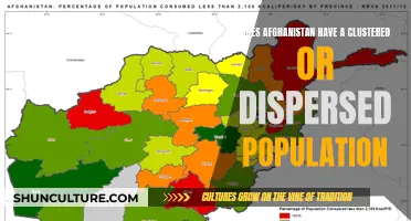 The Geography of Afghanistan's Population: A Study of Dispersion and Clustering